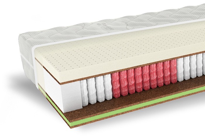 WELLNESS 1000 7fyzio