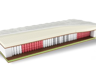 WELLNESS 1000 7fyzio