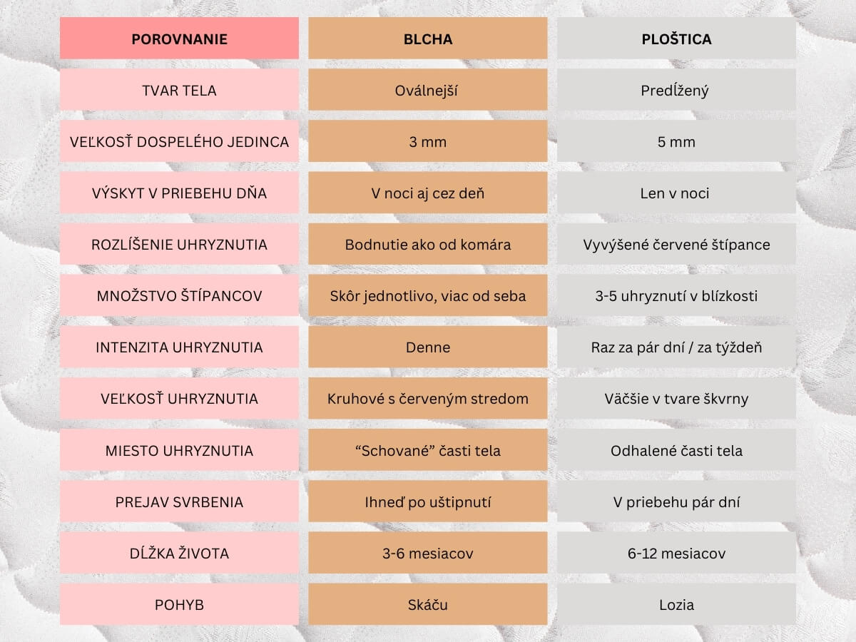 Porovnanie blchy a ploštice.